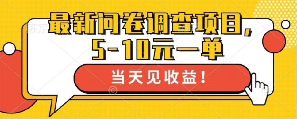 （13167期）最新问卷调查项目，单日零撸100＋-AI学习资源网