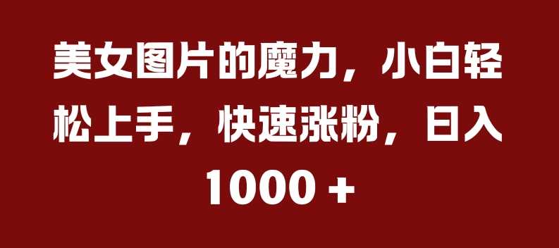 美女图片的魔力，小白轻松上手，快速涨粉，日入几张【揭秘】-AI学习资源网