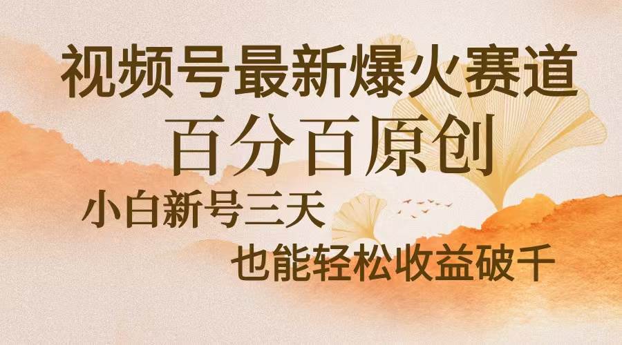 （13225期）视频号最新爆火赛道，中老年粉深信不疑，百分百原创，新号三天收益轻松…-AI学习资源网