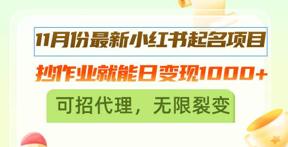 （13256期）11月份最新小红书起名项目，抄作业就能日变现1000+，可招代理，无限裂变-AI学习资源网