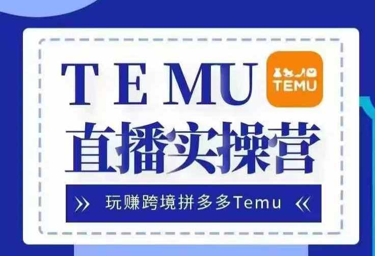 Temu直播实战营，玩赚跨境拼多多Temu，国内电商卷就出海赚美金-AI学习资源网