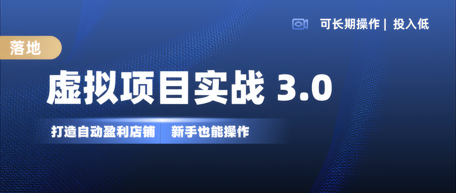 虚拟项目实操落地 3.0,新手轻松上手，单品月入1W+-AI学习资源网