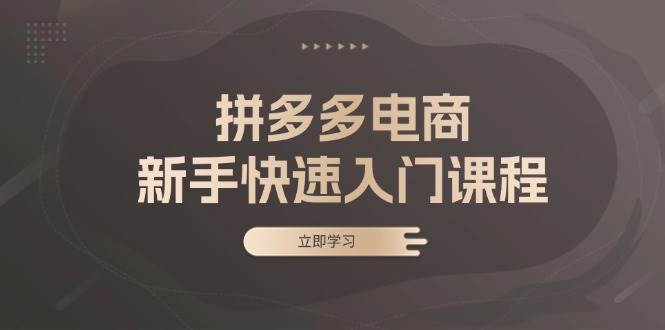 （13289期）拼多多电商新手快速入门课程：涵盖基础、实战与选款，助力小白轻松上手-AI学习资源网