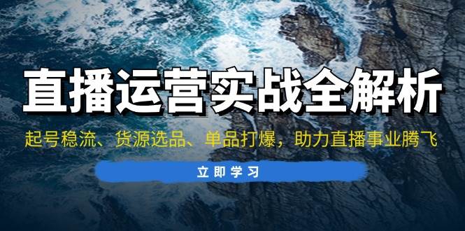 （13294期）直播运营实战全解析：起号稳流、货源选品、单品打爆，助力直播事业腾飞-AI学习资源网