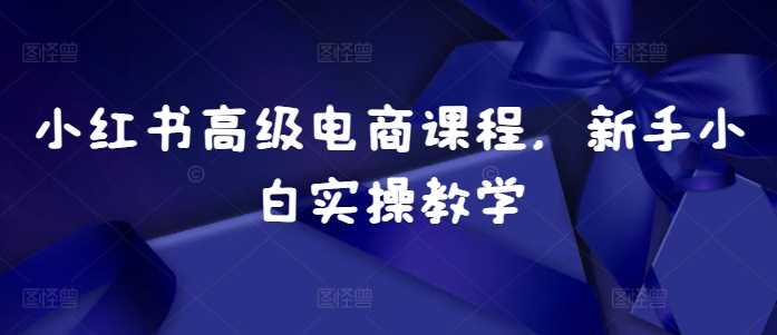 小红书高级电商课程，新手小白实操教学-AI学习资源网