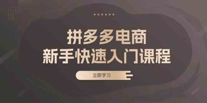 拼多多电商新手快速入门课程：涵盖基础、实战与选款，助力小白轻松上手-AI学习资源网