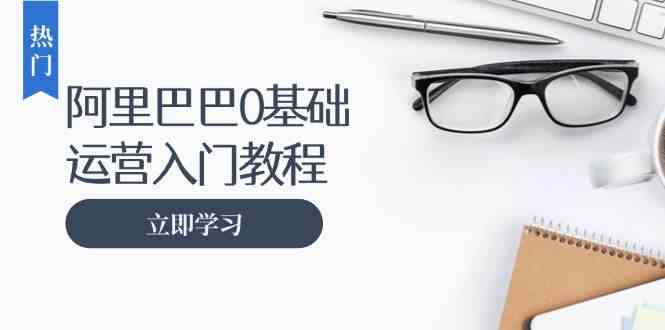 阿里巴巴运营零基础入门教程：涵盖开店、运营、推广，快速成为电商高手-AI学习资源网