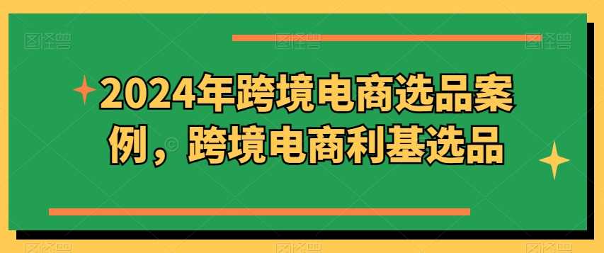 2024年跨境电商选品案例，跨境电商利基选品（更新11月）-AI学习资源网