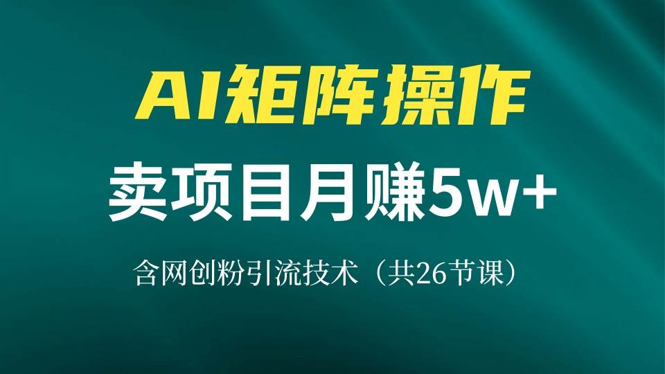 （13335期）网创IP打造课，借助AI卖项目月赚5万+，含引流技术（共26节课）-AI学习资源网