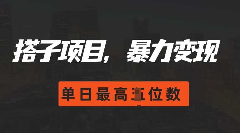 2024搭子玩法，0门槛，暴力变现，单日最高破四位数【揭秘】-AI学习资源网