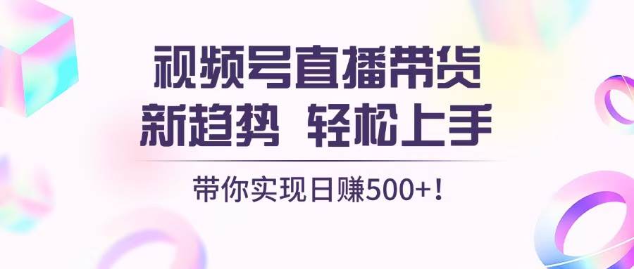 （13370期）视频号直播带货新趋势，轻松上手，带你实现日赚500+-AI学习资源网