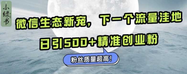 微信生态新宠小绿书：下一个流量洼地，日引500+精准创业粉，粉丝质量超高-AI学习资源网