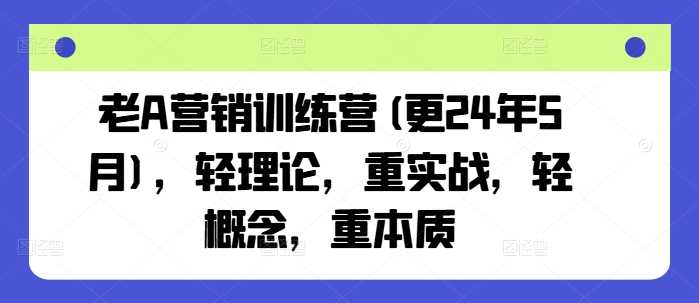 老A营销训练营(更24年11月)，轻理论，重实战，轻概念，重本质-AI学习资源网