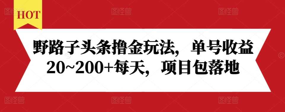 野路子头条撸金玩法，单号收益20~200+每天，项目包落地-AI学习资源网