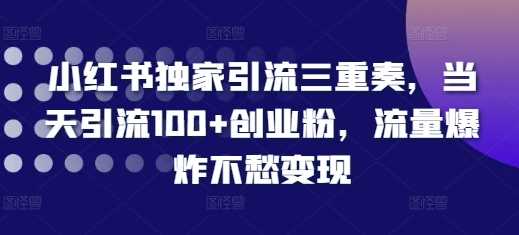 小红书独家引流三重奏，当天引流100+创业粉，流量爆炸不愁变现【揭秘】-AI学习资源网