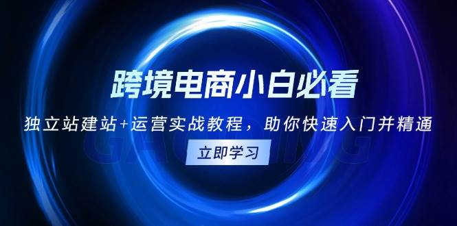 （13502期）跨境电商小白必看！独立站建站+运营实战教程，助你快速入门并精通-AI学习资源网