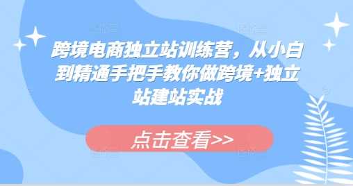 跨境电商独立站训练营，从小白到精通手把手教你做跨境+独立站建站实战-AI学习资源网