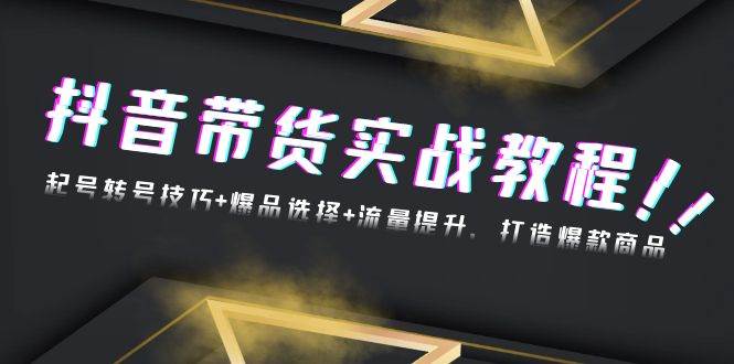 （13526期）抖音带货实战教程：起号转号技巧+爆品选择+流量提升，打造爆款商品-AI学习资源网