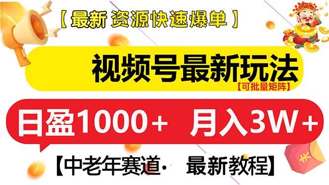 （13530期）视频号最新玩法 中老年赛道 月入3W+-AI学习资源网