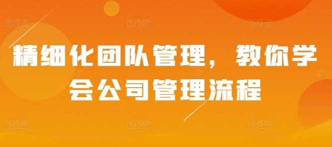 精细化团队管理，教你学会公司管理流程-AI学习资源网