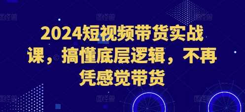 2024短视频带货实战课，搞懂底层逻辑，不再凭感觉带货-AI学习资源网