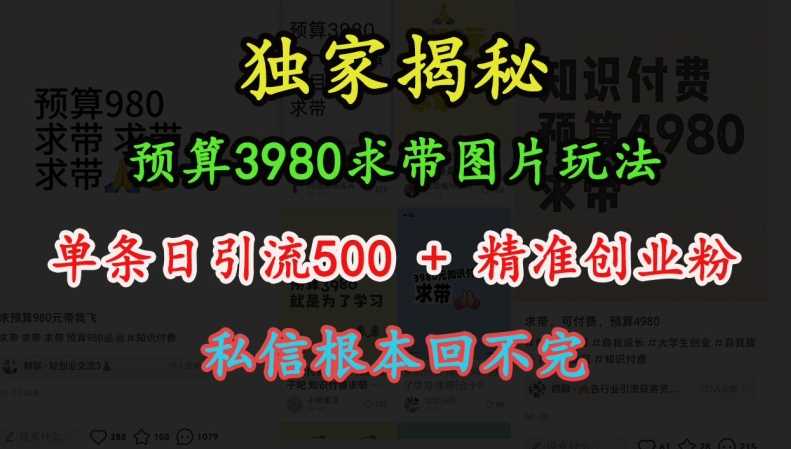 预算3980求带 图片玩法，单条日引流500+精准创业粉，私信根本回不完-AI学习资源网