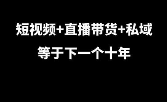 短视频+直播带货+私域等于下一个十年，大佬7年实战经验总结-AI学习资源网