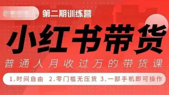 小Red书带货42天训练营 2.0版，宝妈+自由职+上班族+大学生，提高副业收入的大红利项目-AI学习资源网