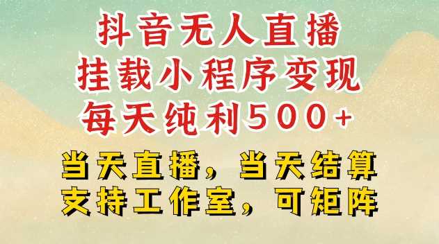 抖音无人直播挂载小程序变现每天纯利500+当天直播，当天结算支持工作室，可矩阵【揭秘】-AI学习资源网