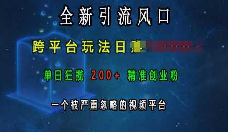 全新引流风口，跨平台玩法日入上k，单日狂揽200+精准创业粉，一个被严重忽略的视频平台-AI学习资源网