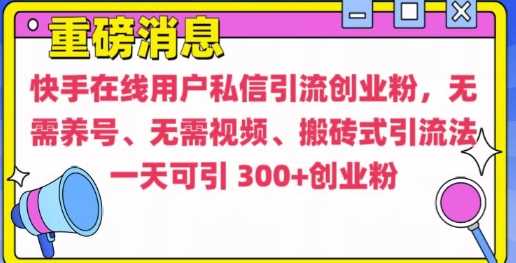 快手最新引流创业粉方法，无需养号、无需视频、搬砖式引流法【揭秘】-AI学习资源网