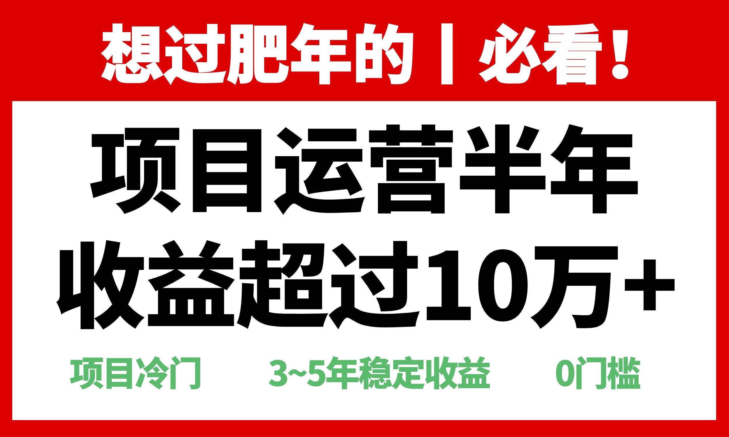 （13663期）年前过肥年的必看的超冷门项目，半年收益超过10万+，-AI学习资源网