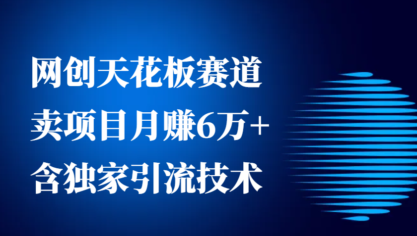 网创天花板赛道，卖项目月赚6万+，含独家引流技术（共26节课）-AI学习资源网