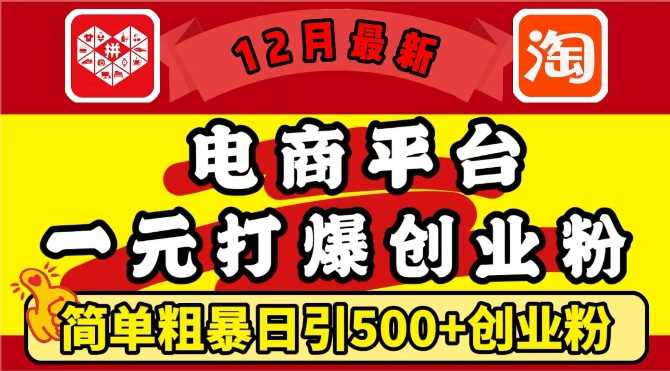 12月最新：电商平台1元打爆创业粉，简单粗暴日引500+精准创业粉，轻松月入过W【揭秘】-AI学习资源网