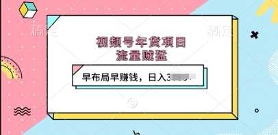 视频号年货项目，流量贼猛，早布局早挣钱，日入上k【揭秘】-AI学习资源网