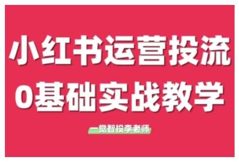 小红书运营投流，小红书广告投放从0到1的实战课，学完即可开始投放-AI学习资源网