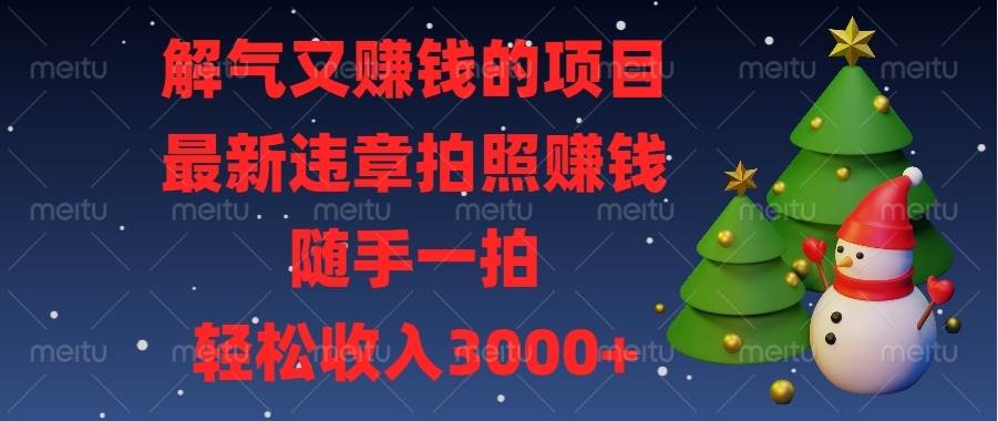 （13686期）解气又赚钱的项目，最新违章拍照赚钱，随手一拍，轻松收入3000+-AI学习资源网