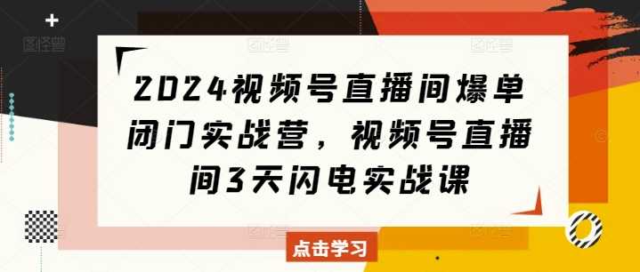 2024视频号直播间爆单闭门实战营，视频号直播间3天闪电实战课-AI学习资源网