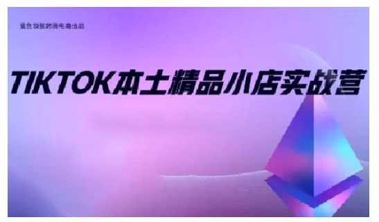 TikTok本土精品小店出海实战营，从入门到高阶，不止0-1!-AI学习资源网