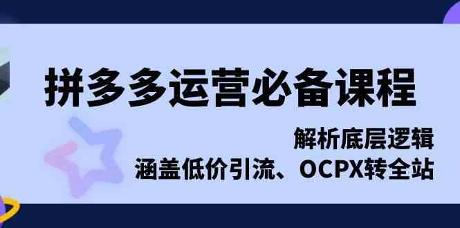 拼多多运营必备课程，解析底层逻辑，涵盖低价引流、OCPX转全站-AI学习资源网