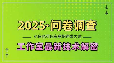 2025问卷调查最新工作室技术解密：一个人在家也可以闷声发大财，小白一天2张，可矩阵放大【揭秘】-AI学习资源网