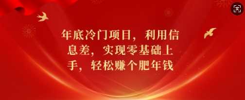 年底冷门项目，利用信息差，实现零基础上手，轻松赚个肥年钱【揭秘】-AI学习资源网