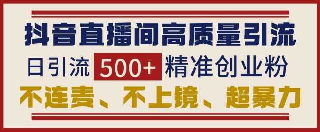 抖音直播间引流创业粉，无需连麦、不用上镜、超暴力，日引流500+高质量精准创业粉-AI学习资源网