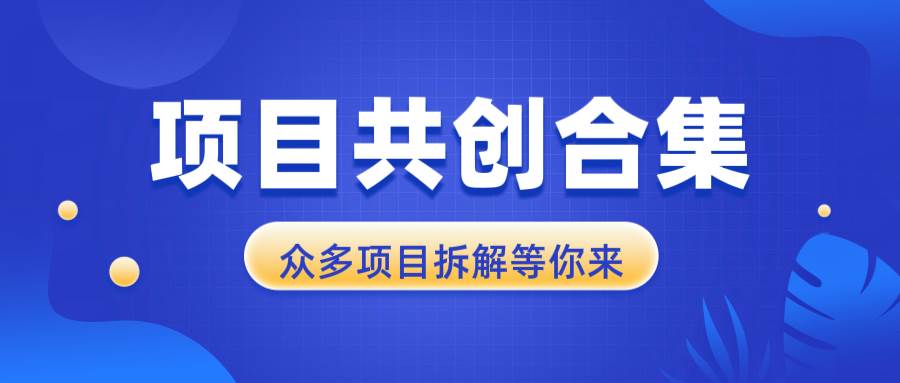 （13778期）项目共创合集，从0-1全过程拆解，让你迅速找到适合自已的项目-AI学习资源网