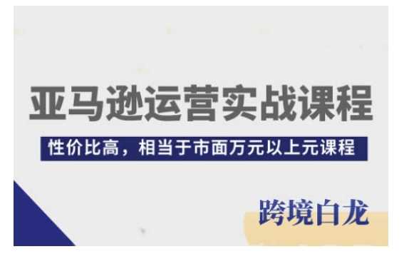 亚马逊运营实战课程，亚马逊从入门到精通，性价比高，相当于市面万元以上元课程-AI学习资源网