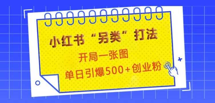 小红书“另类”打法，开局一张图，单日引爆500+精准创业粉【揭秘】-AI学习资源网