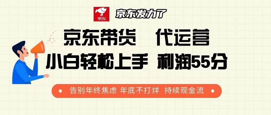 （13833期）京东带货 代运营 利润55分 告别年终焦虑 年底不打烊 持续现金流-AI学习资源网