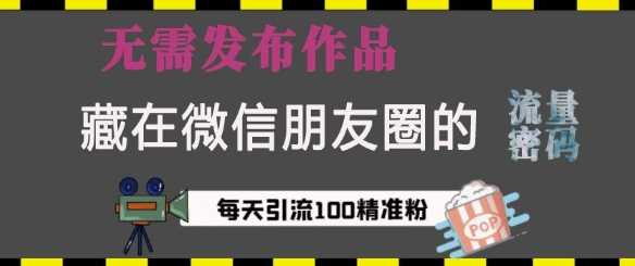 藏在微信朋友圈的流量密码，无需发布作品，单日引流100+精准创业粉【揭秘】-AI学习资源网