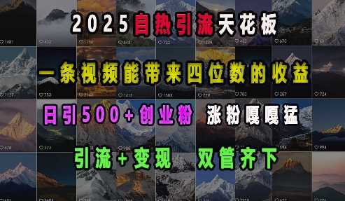 2025自热引流天花板，一条视频能带来四位数的收益，引流+变现双管齐下，日引500+创业粉，涨粉嘎嘎猛-AI学习资源网