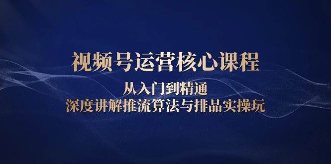 （13863期）视频号运营核心课程，从入门到精通，深度讲解推流算法与排品实操玩-AI学习资源网